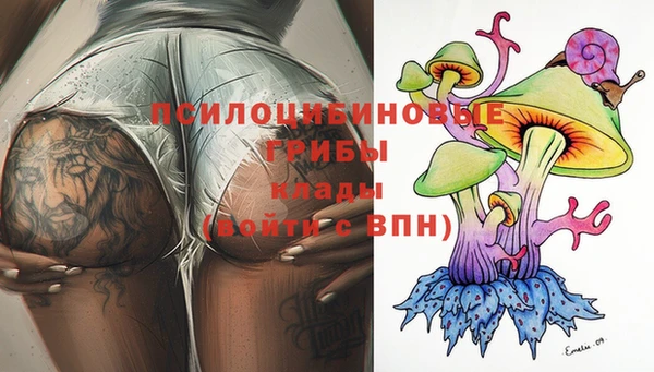 индика Балабаново