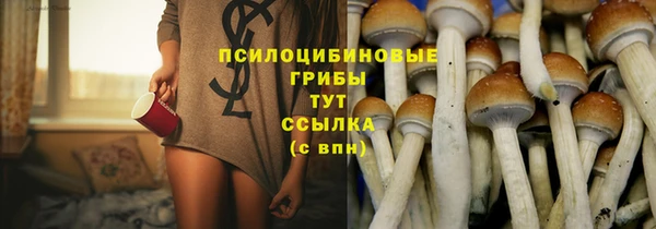 индика Балабаново