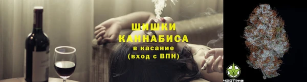 индика Балабаново