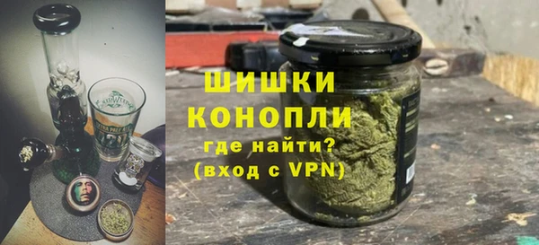 индика Балабаново