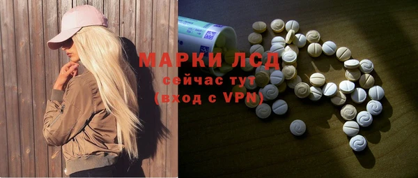 индика Балабаново